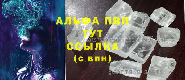 Альфа ПВП Новодвинск